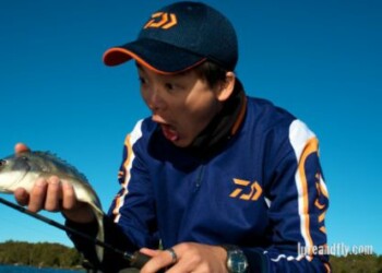 The life of a Fishing Widow